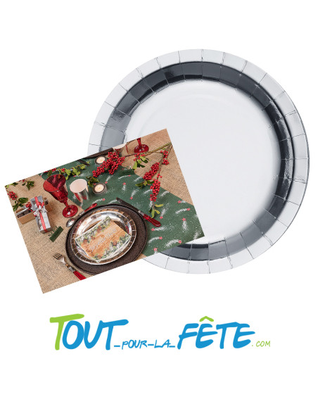 10 assiettes brillantes 26 cm Argent