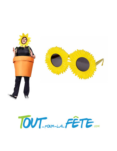 Lunettes Tournesol