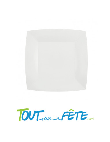 Lot de 10 petite assiettes carré en carton