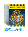 Lot de 8 invitations et enveloppes Harry Potter