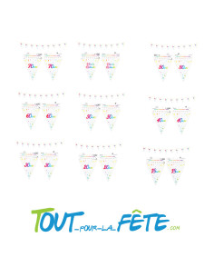 Guirlande fanions âge multicolore 6m