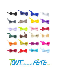 Nœud papillon plusieurs coloris dispo