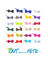 Nœud papillon plusieurs coloris dispo
