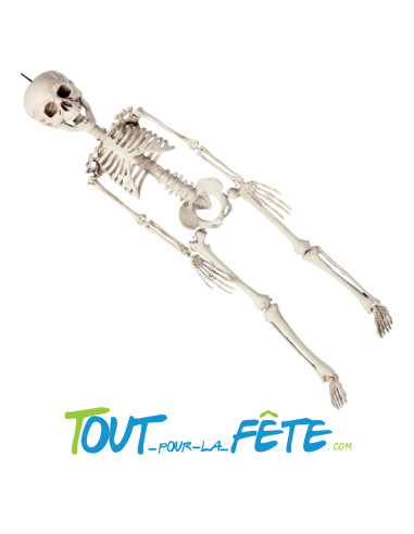 Squelette à Suspendre 76 cm