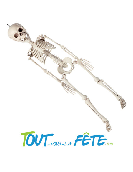 Squelette à Suspendre 76 cm