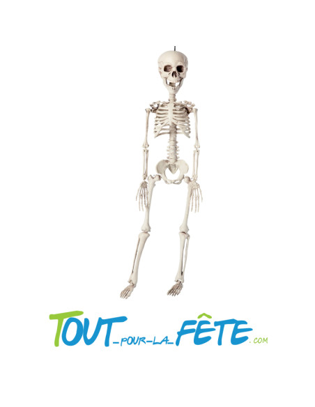 Squelette à Suspendre 76 cm