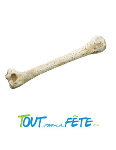 Os des cavernes 28 cm