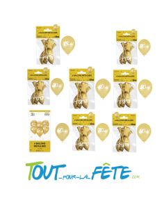 Sachet de 6 ballons latex âge OR