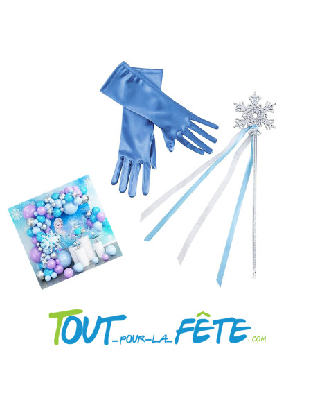 Kit de Princesse des Glaces