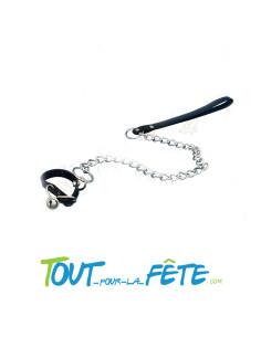 Laisse pour Zizi