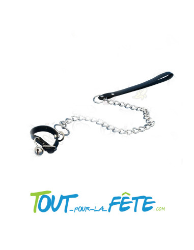 Laisse pour Zizi
