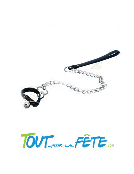 Laisse pour Zizi