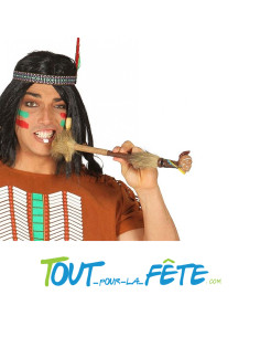 Longue pipe / calumet indien