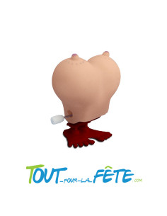 Nichons Sauteurs