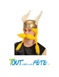 Perruque d'Asterix Homme