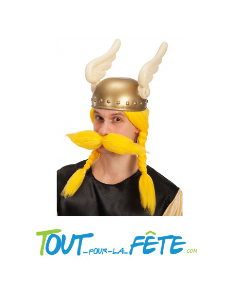 Perruque d'Asterix Homme