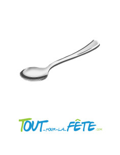 lot de 10 grosses cuillères 17 cm argent en plastique façon inox 2