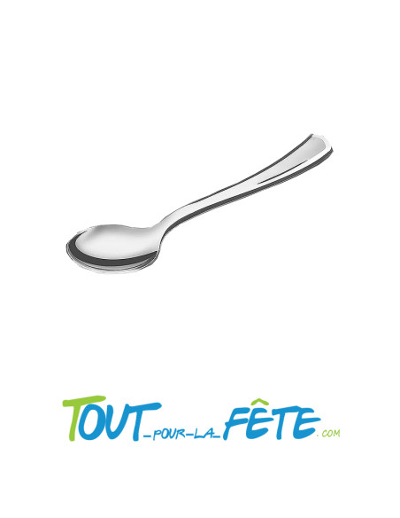 lot de 10 grosses cuillères 17 cm argent en plastique façon inox