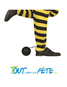 Boulet de prisonnier ou bagnard