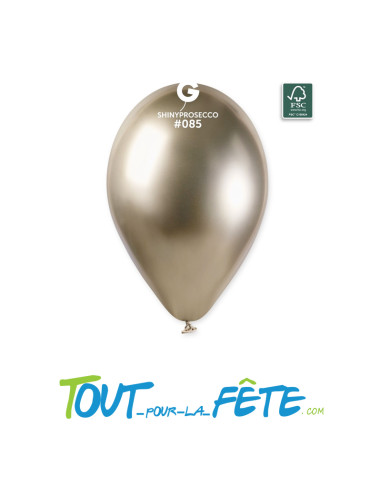 Sachet de 5 ballons Brillant 30 cm