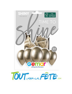 Sachet de 5 ballons Brillant 30 cm