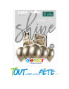 Sachet de 5 ballons Brillant 30 cm