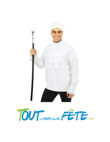 Canne avec pommeau Argent / noir