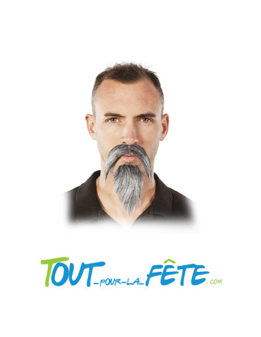 Moustache + barbichette grise