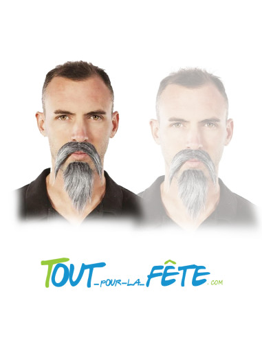 Moustache + barbichette grise