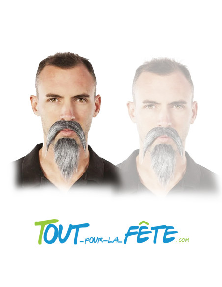 Moustache + barbichette grise