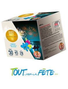 Feux d'artifice compact FIDJI 28 coups - 50 secondes 2