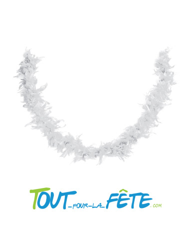 Boa plume 1m60 / 40g différents colories