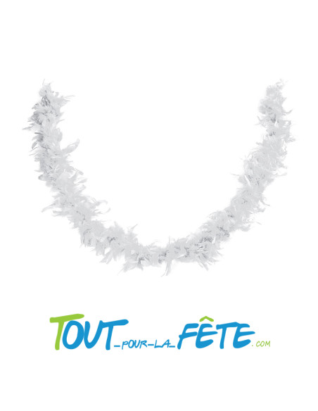 Boa plume 1m60 / 40g différents colories