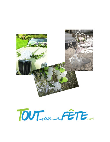 Lot de 10 grands nœuds automatiques blancs 50mm