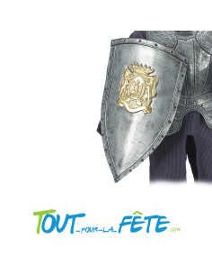 grand bouclier grec/romain 75 cm 2