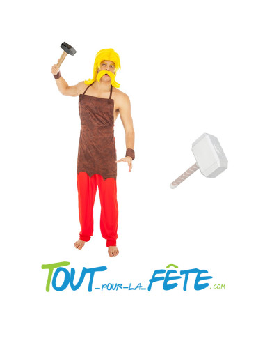 Déguisement Cetautomatix Astérix© adulte