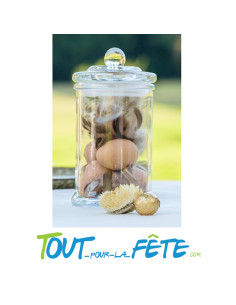 Sachet oeufs naturel avec plume 40gr 2