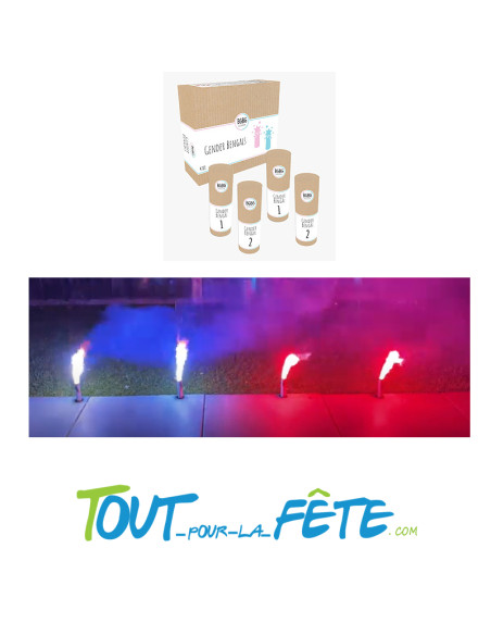 Feu de bengale à poser Reveal Gender/Baby shower rose