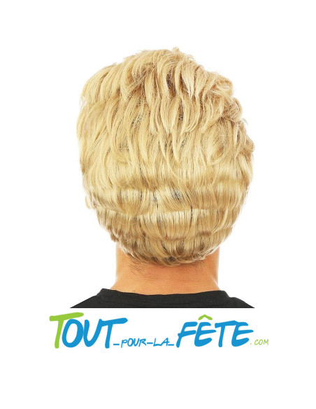 Perruque Johnny Homme blond