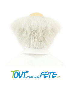 Perruque savant fou 2