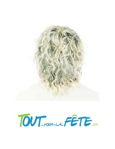 Perruque Michel Polnareff grise