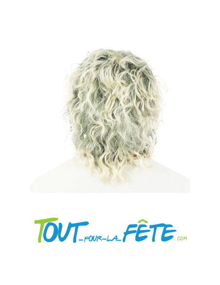 Perruque Michel Polnareff grise