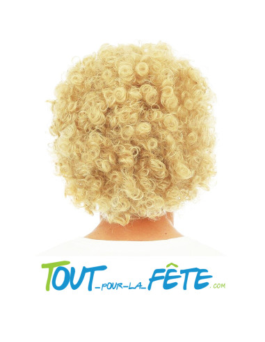Perruque et Moustache Frisée Homme