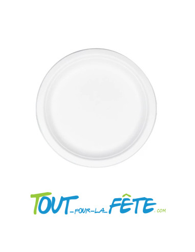 Lot de 10 assiettes réutilisables blanc 22cm