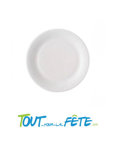 Lot de 12 petites assiettes en carton blanc 18 cm