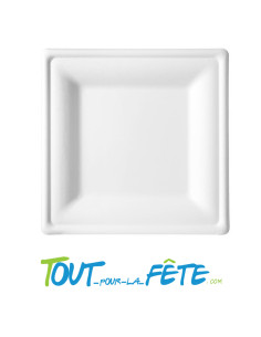 Lot de 5 assiettes carrés de 20cm biodégradable en canne a sucre 2