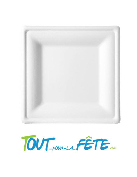 Lot de 5 assiettes carrés de 20cm biodégradable en canne a sucre
