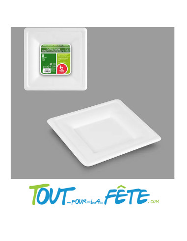 Lot de 5 assiettes carrés de 20cm biodégradable en canne a sucre
