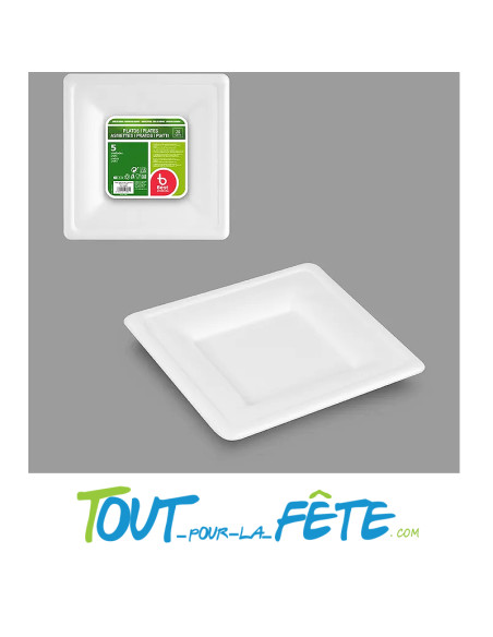 Lot de 5 assiettes carrés de 20cm biodégradable en canne a sucre