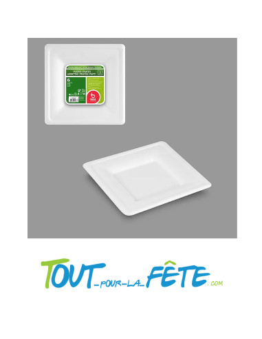 Lot de 6 petites assiettes carrés de 16cm biodégradable en canne a sucre